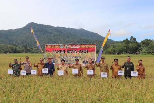 Panen raya padi Kecamatan Menjalin tahun 2026